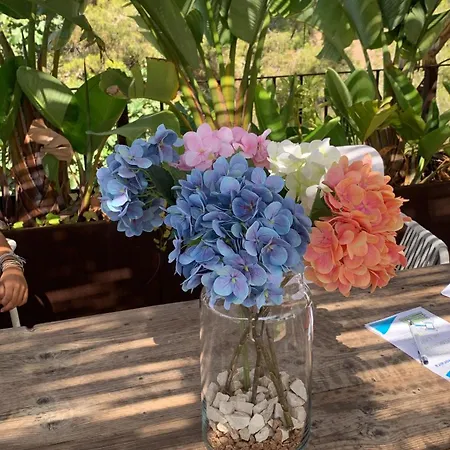 Casa Toni Moraira Сasa de vacaciones *